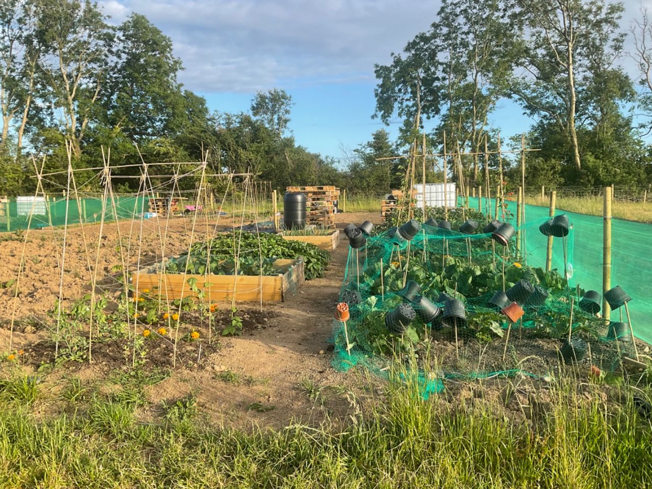 Pembrokeshire ag soc provides land for community garden