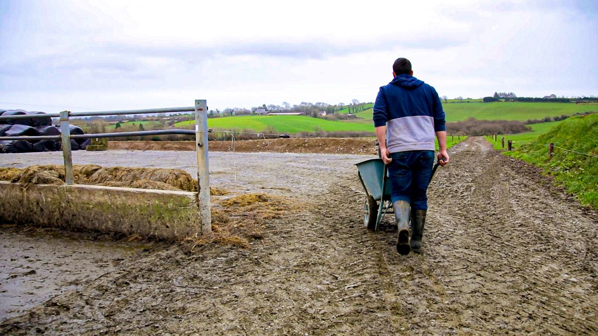 General Election: Rural communities feel 'politically homeless'