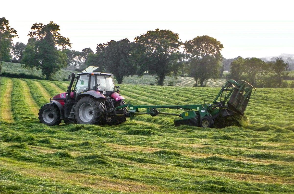 How to plan ahead to keep silage-making safe - NFU Mutual