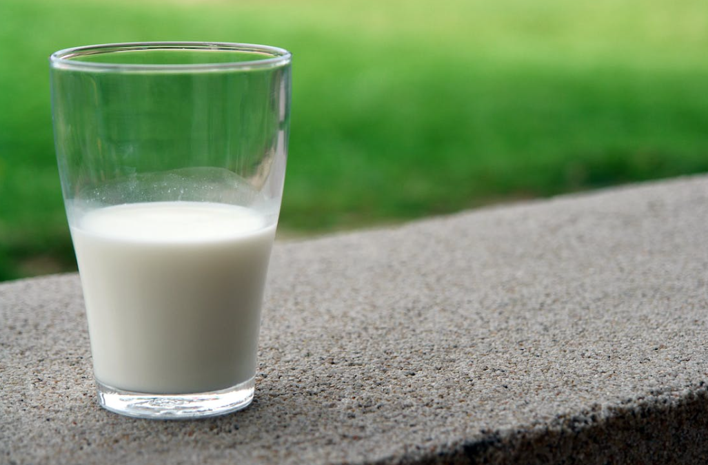 Export programmes deliver £55.6m in sales for NI dairy industry