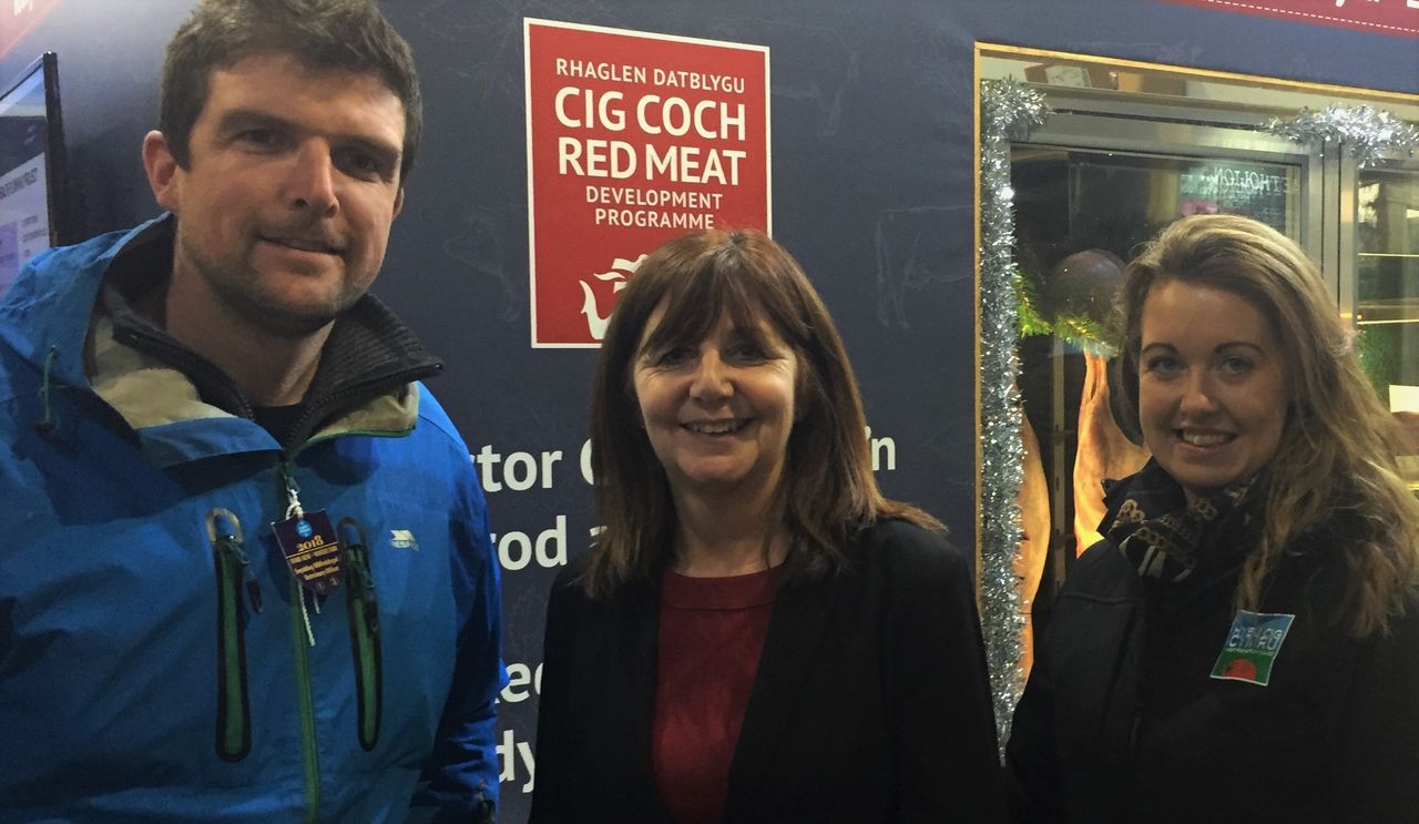 Farmers needed for pioneering Welsh animal health project