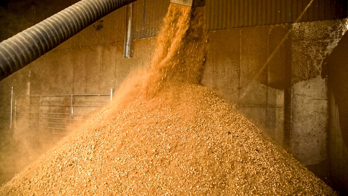 Mole Valley Farmers acquires ABN's feed mill in Devon