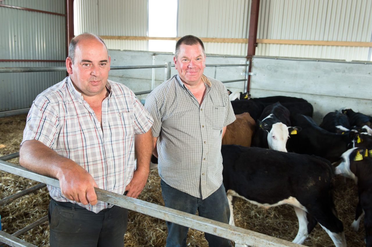 Countdown on to the NI Beef Expo - NI's biggest technical beef event
