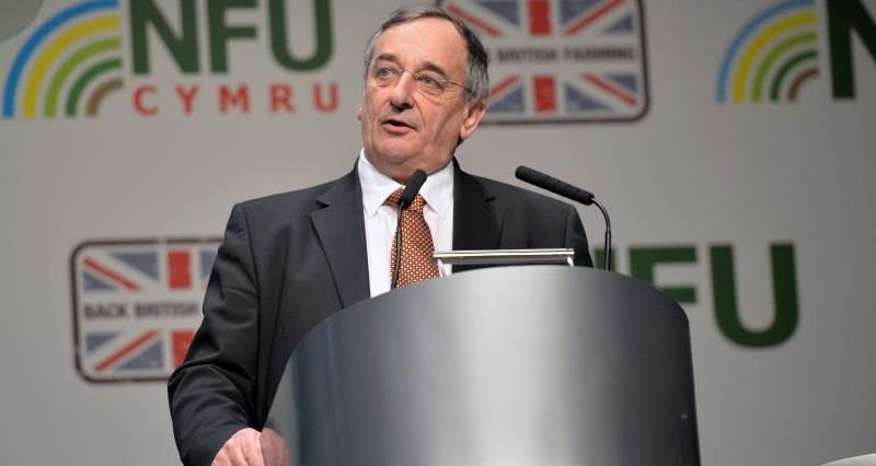 British farmers warn of ‘dangerous’ disappearance of EU labour