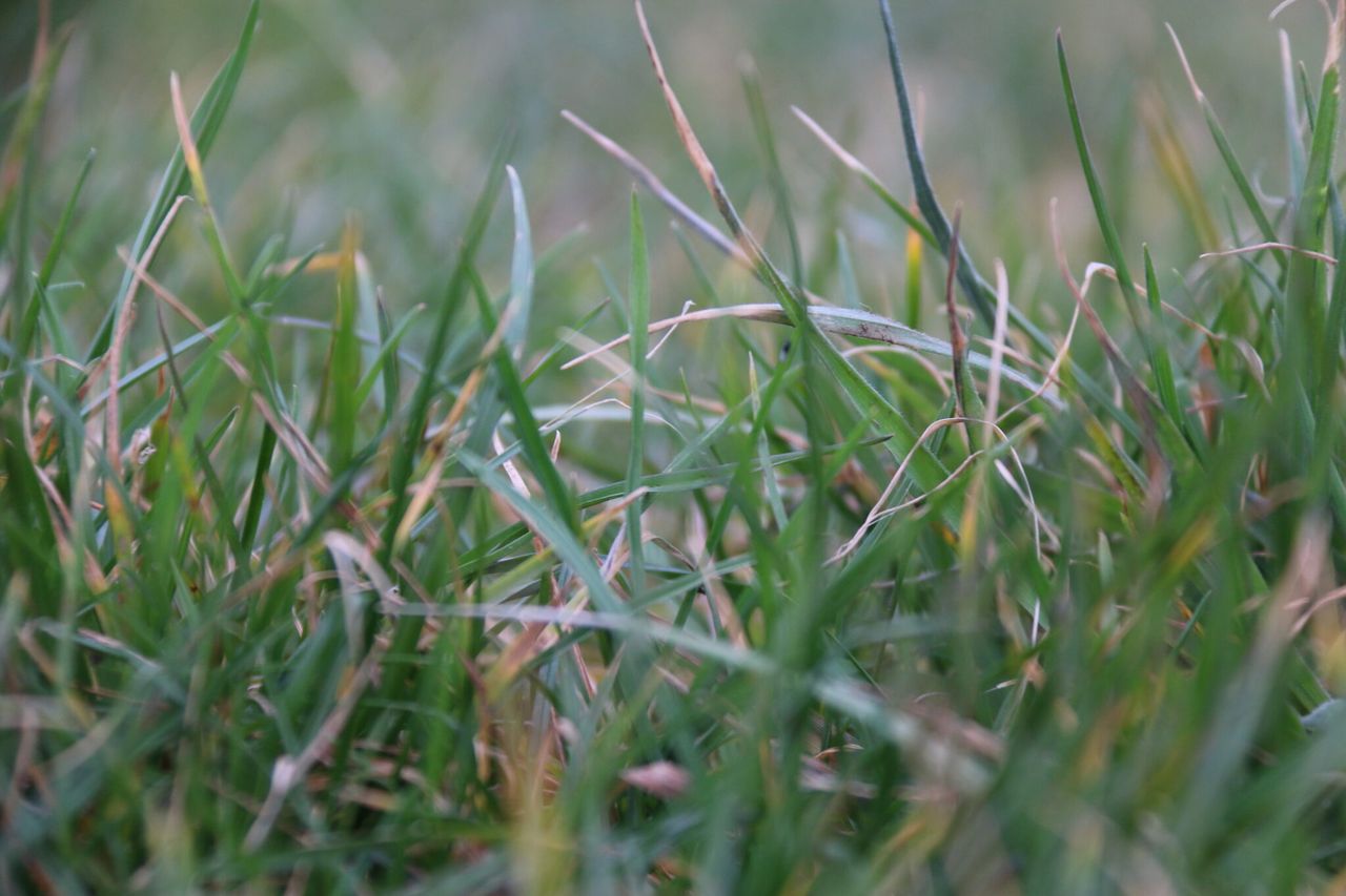 Better land management could be worth up to £196m a year to Northern dairy sector