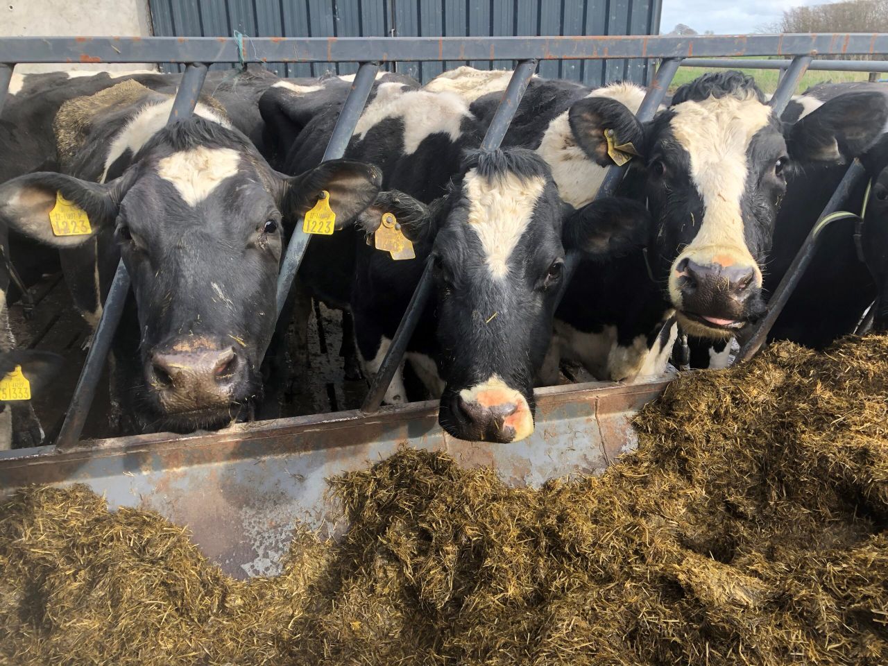 UFU celebrates top silage makers of 2018