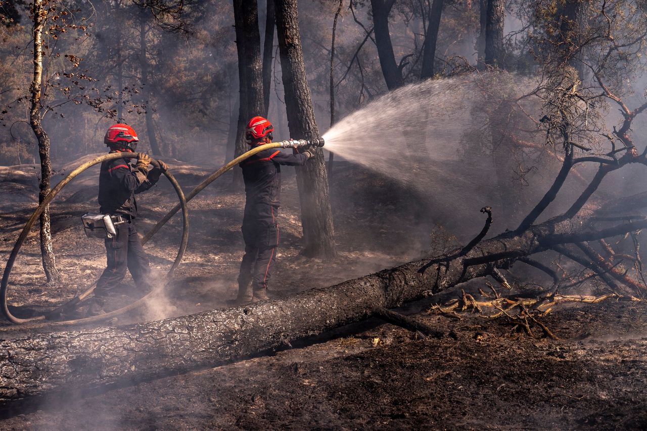 France commits €1bn in farmer support in wake of heatwaves
