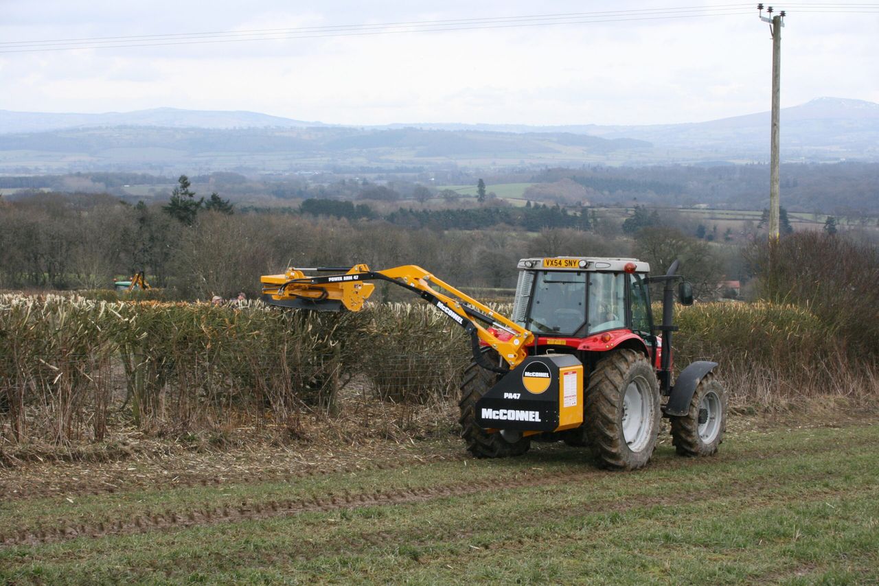 ‘Clear evidence’ required for cutting hedges during closed period