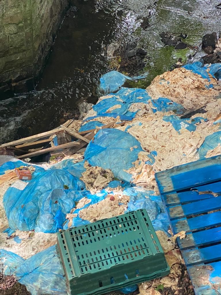 2t of meat waste dumped in Lanarkshire burn