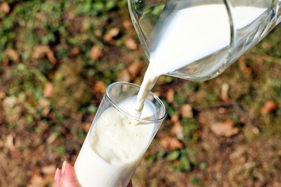 Farmers’ organisation slams vegan campaign