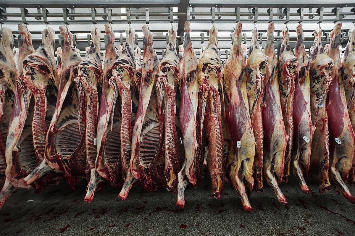 Dawn Meats to take full control of Dunbia