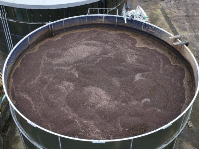 Clay aggregate can reduce ammonia emissions – CAFRE