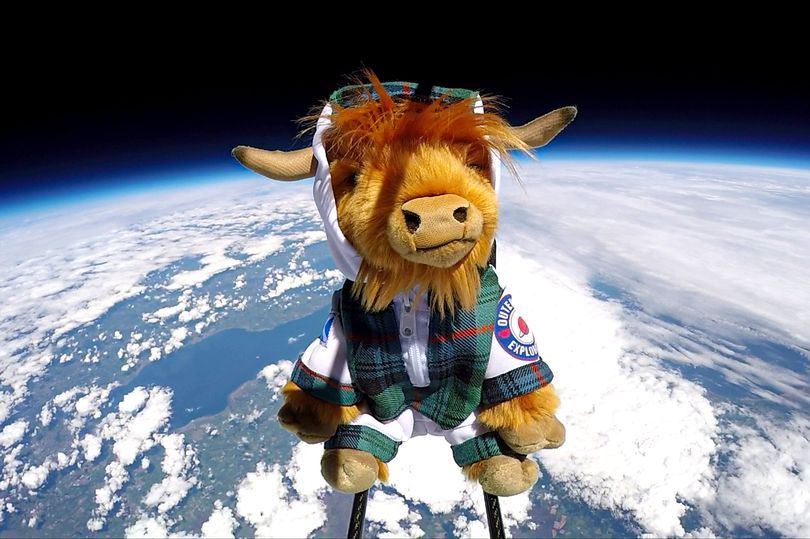 WATCH: Scottish tourist board sends Highland Cow into space