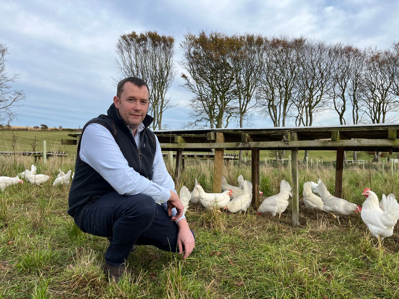 Scottish egg producers back campaign to expand beef production