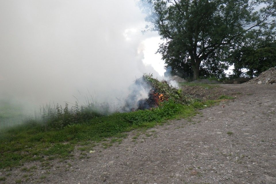 Stop notice handed to Norfolk landowner for illegal waste burning