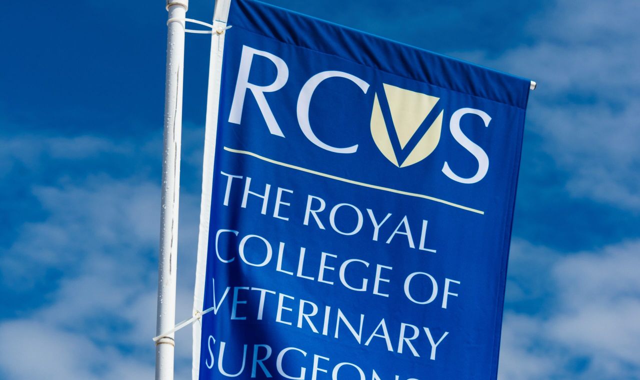 London vet cleared of disgraceful conduct allegations