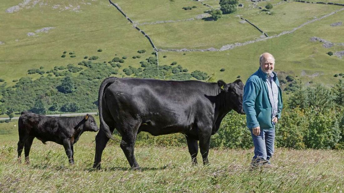 Farmers urged to investigate unexplained abortions in livestock