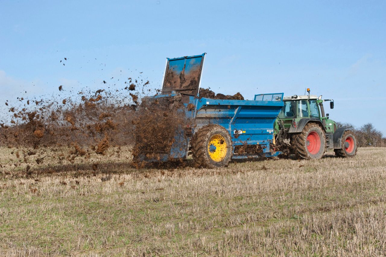The inter-relationship between sulphur and nitrogen