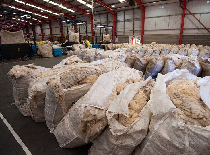 British Wool warns of 10 million kilos of unsold wool