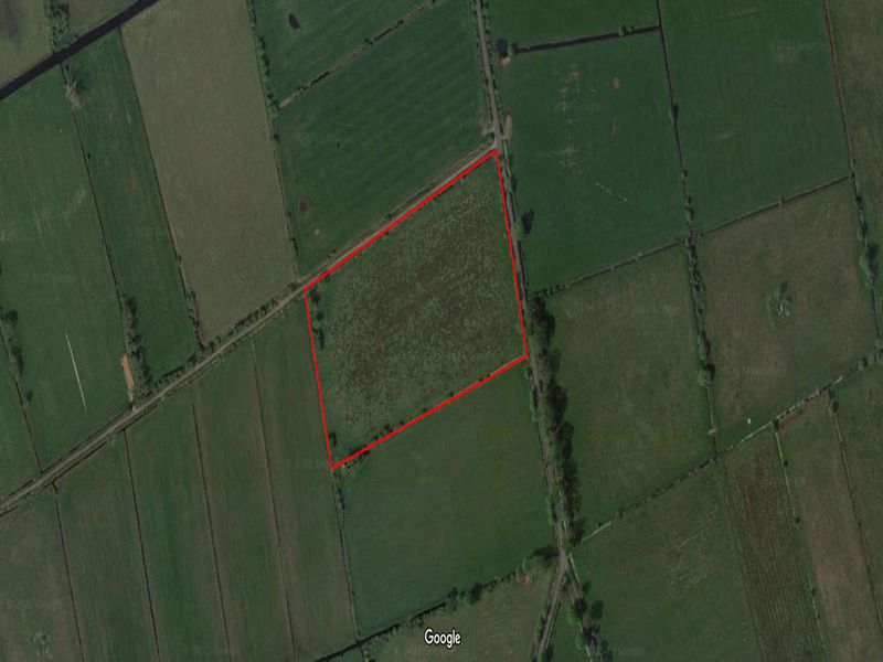 Vegan group buying and repurposing agricultural land across UK