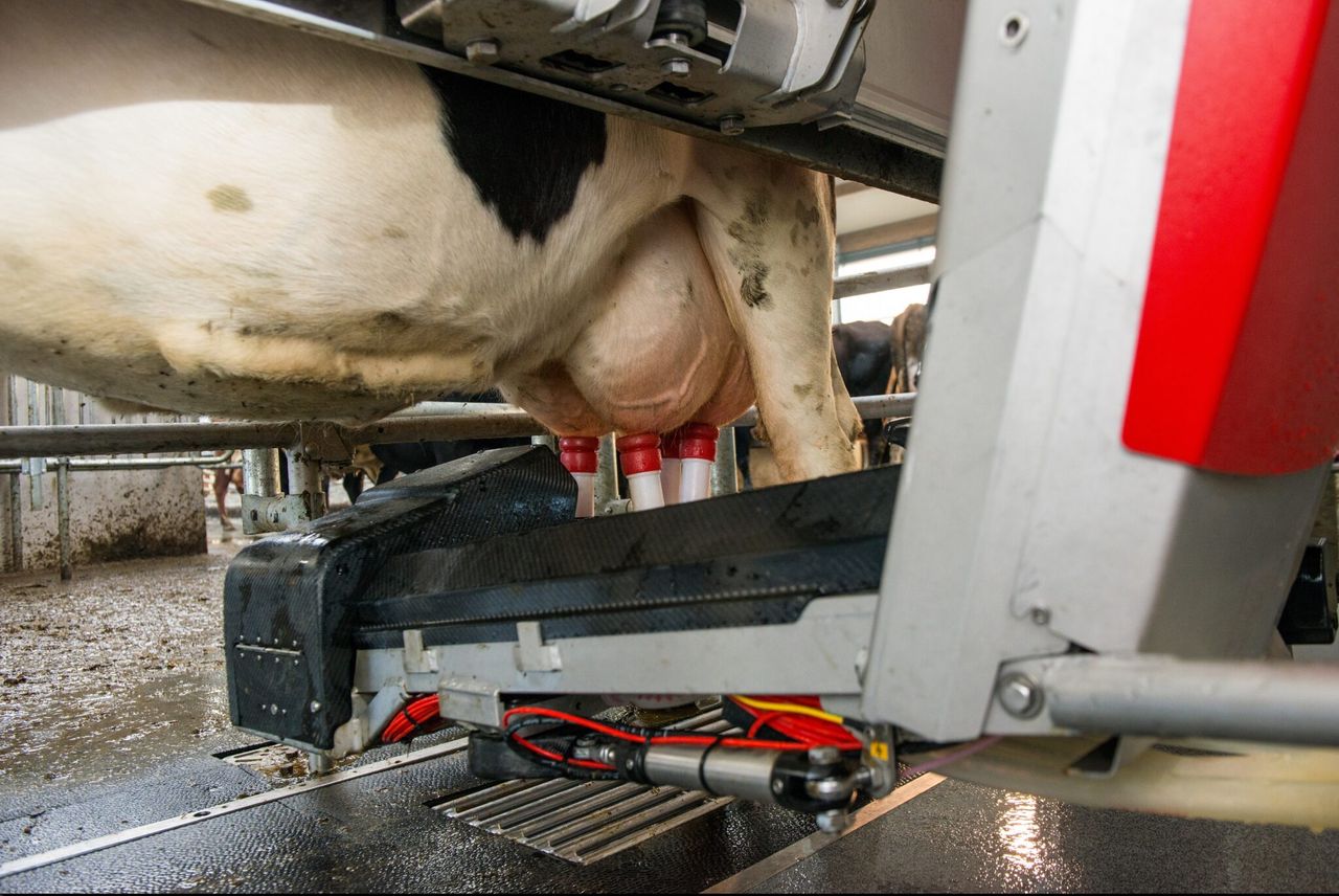 Video: Lely hits major NI robot milestone