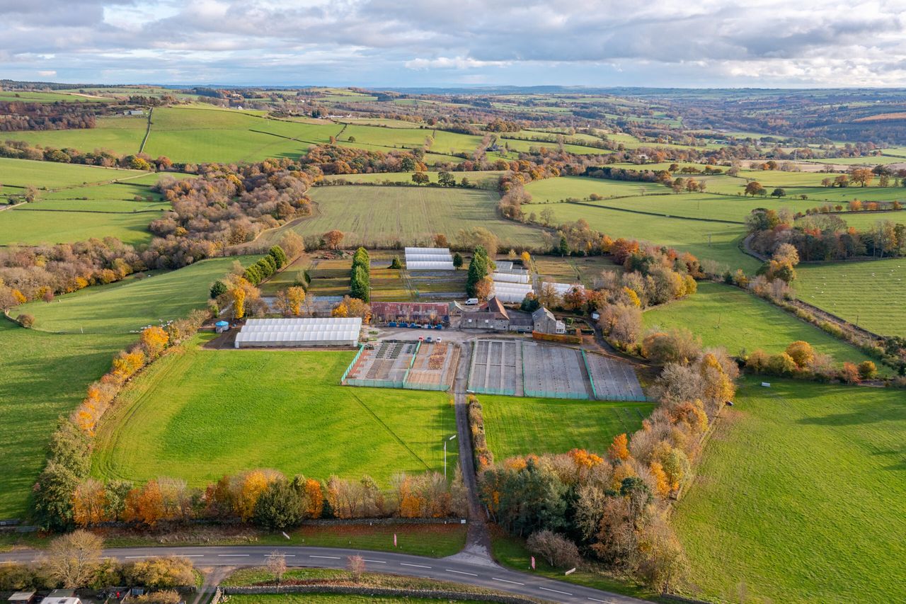 Durham plant nursery comes to the market for £975k