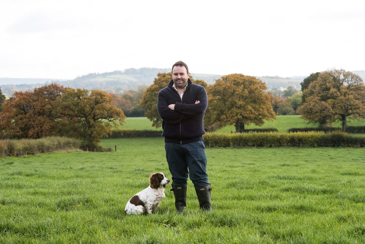 Government announces support for Animal Welfare (Sentencing) Bill in Parliament