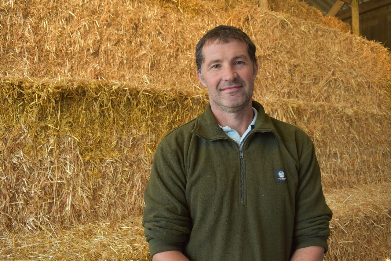 Deadline fast approaching for Wales' Hill Ram Scheme