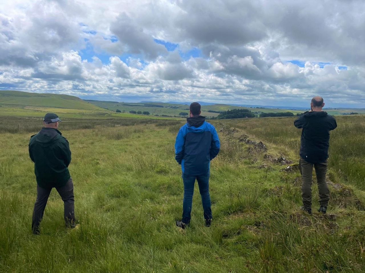 NI: Investigation launched into poisoning of 2 white-tailed eagles