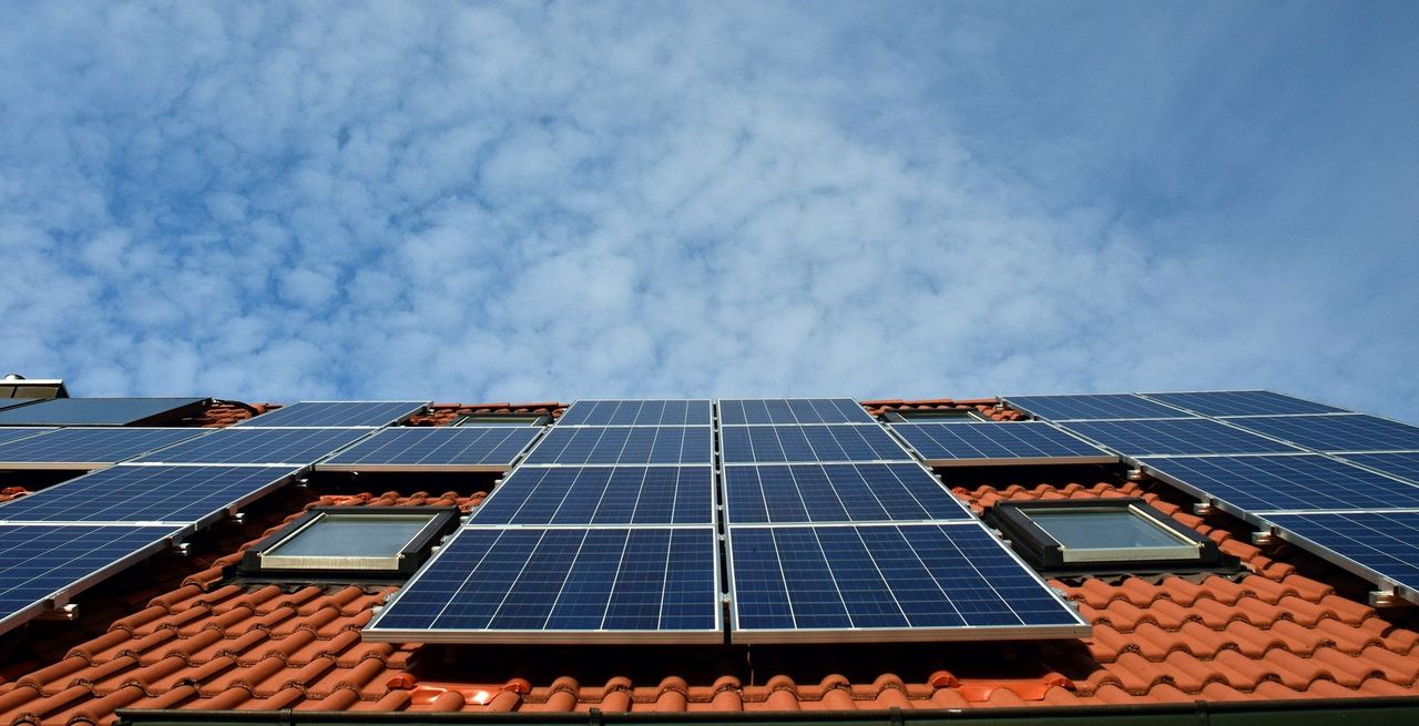 Anpario announces new initiatives to meet net-zero targets