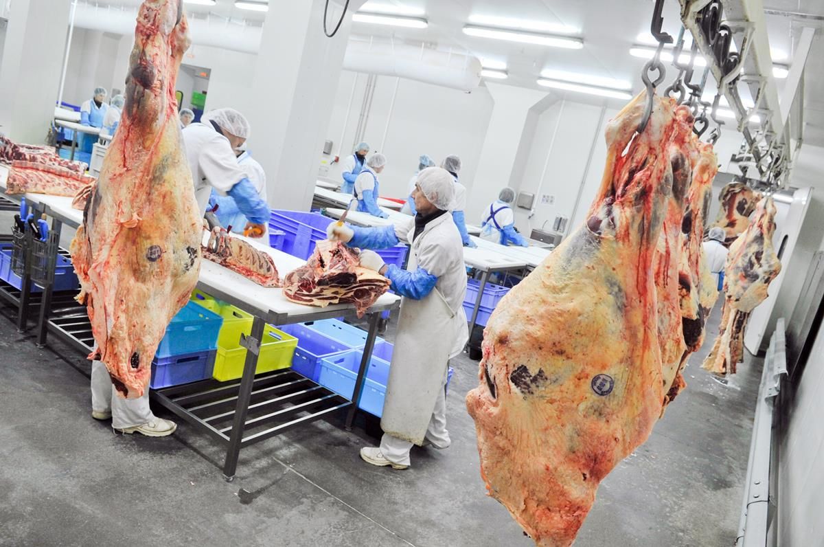 Over 1,000 employees in German meat plant test positive for Covid-19