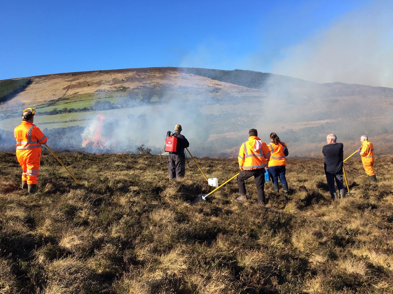 DAERA minister calls for halt to prescribed burning