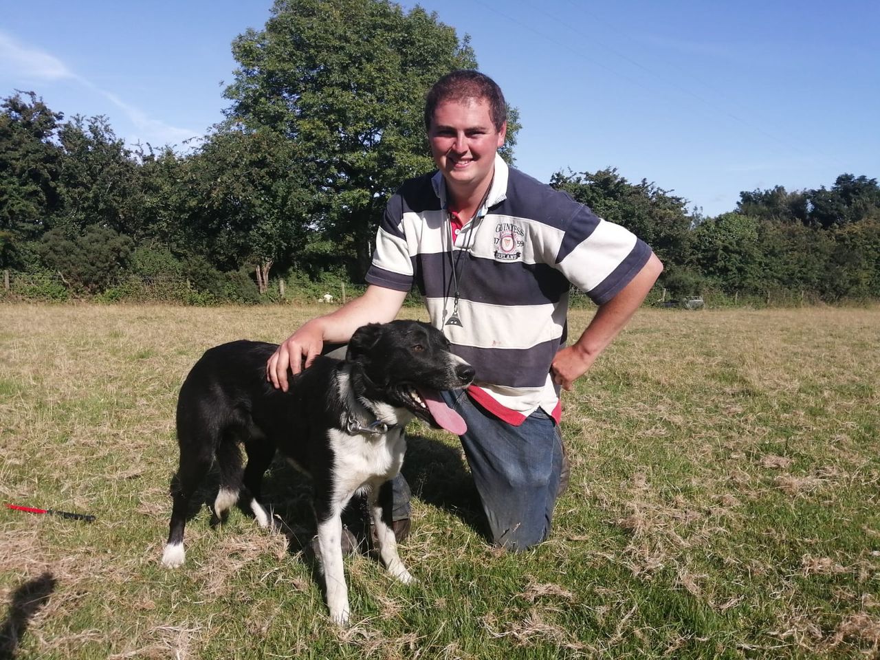 New booklet launched to offer advice on recording pedigree flocks