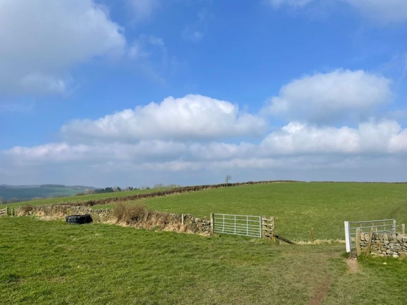 Derbyshire Wildlife Trust purchase Common Farm for rewilding purposes