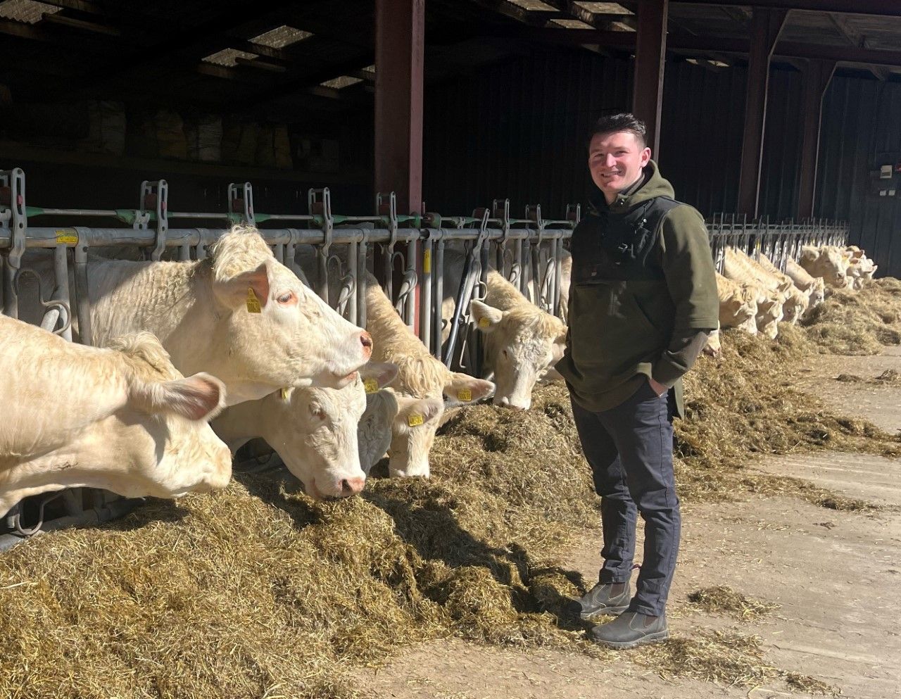 Welsh man to study calf production in South America