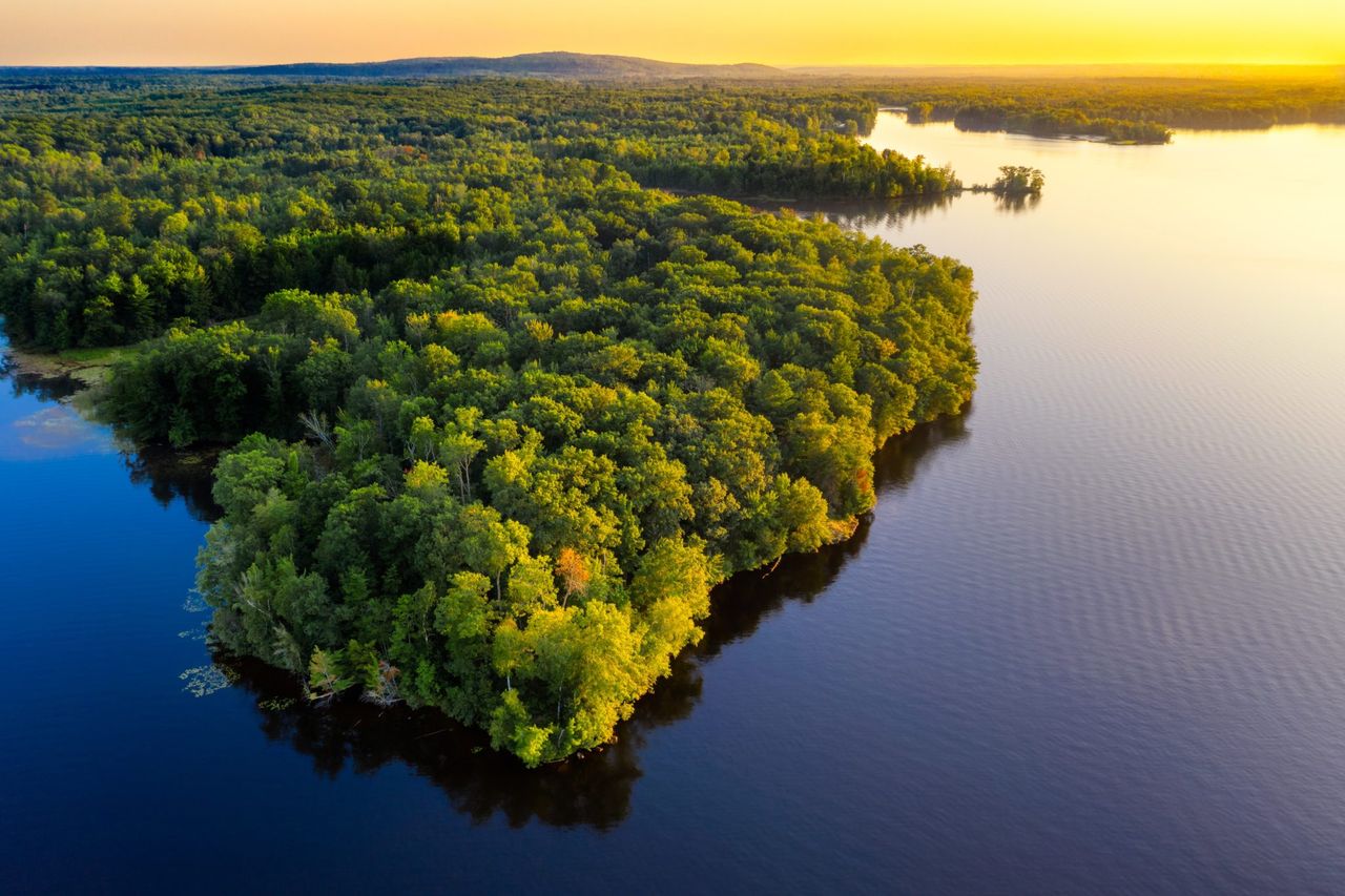 Earth Overshoot Day: Half of earth’s biocapacity used for food production