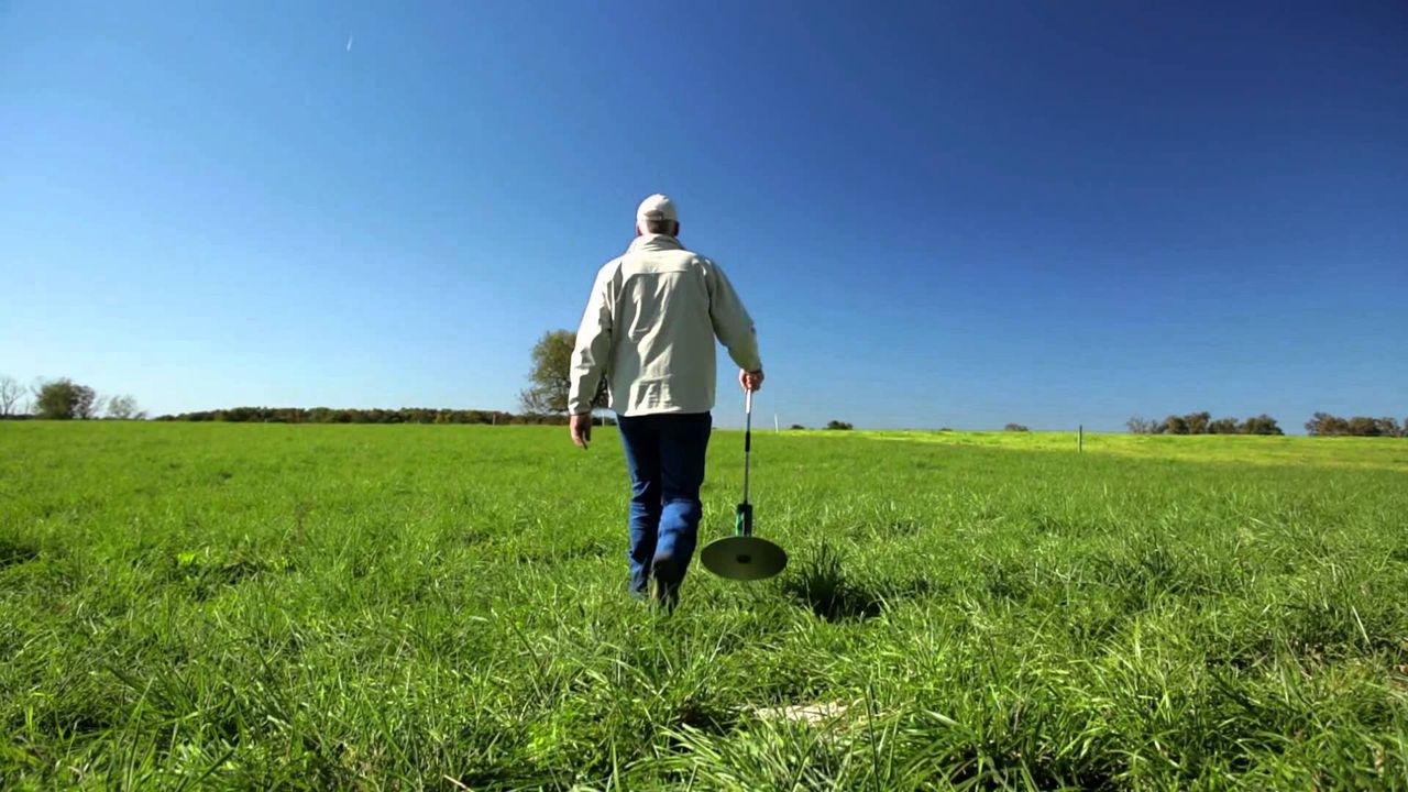 North's 'beef from grass' projects oversubscribed by nearly 170%