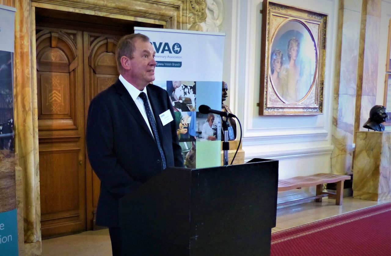 BVA: 'Urgent action' needed to avoid Welsh vet shortfall
