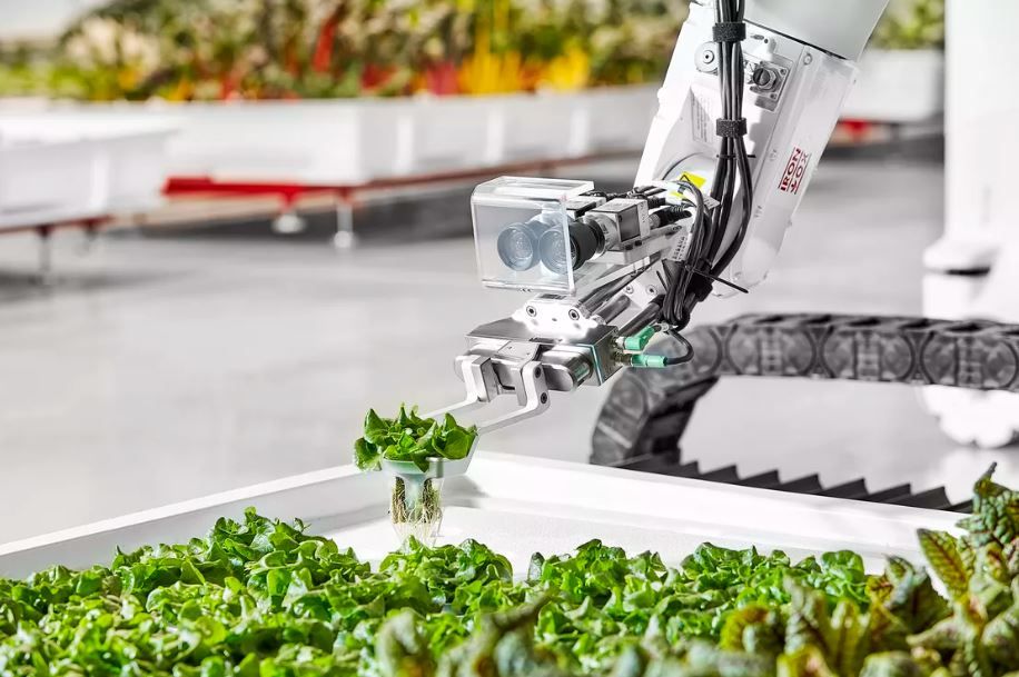 Further £12.5m in funding for robotic ag projects for grabs