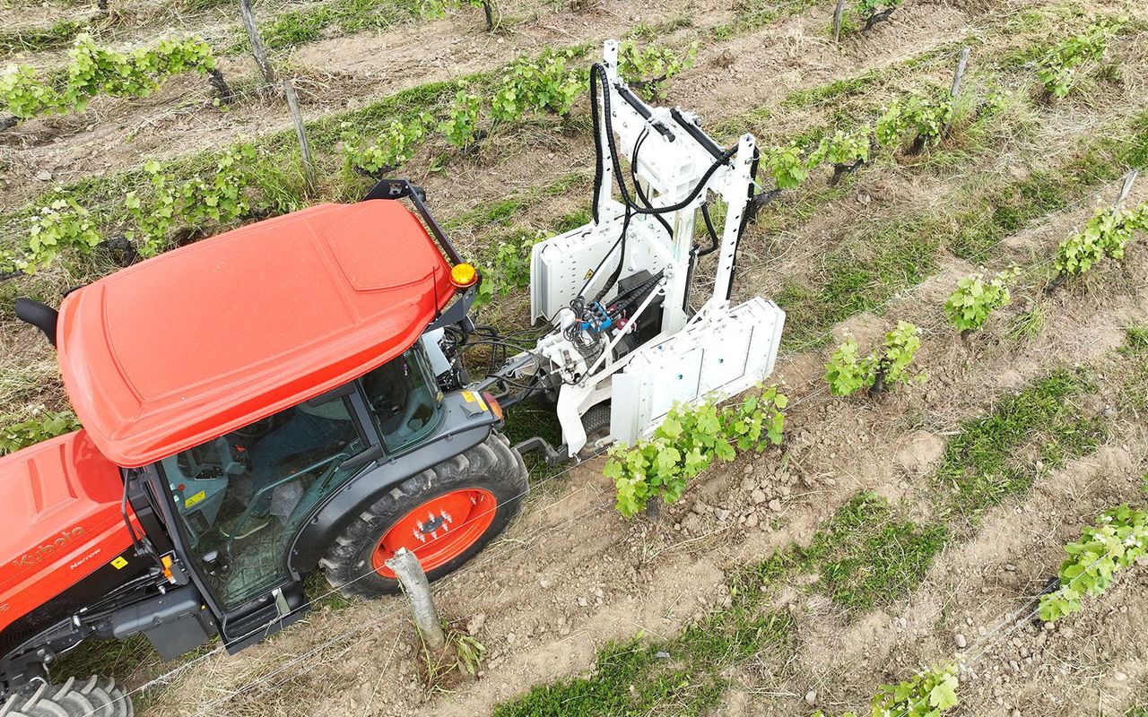 UV light application shows promise in crop protection