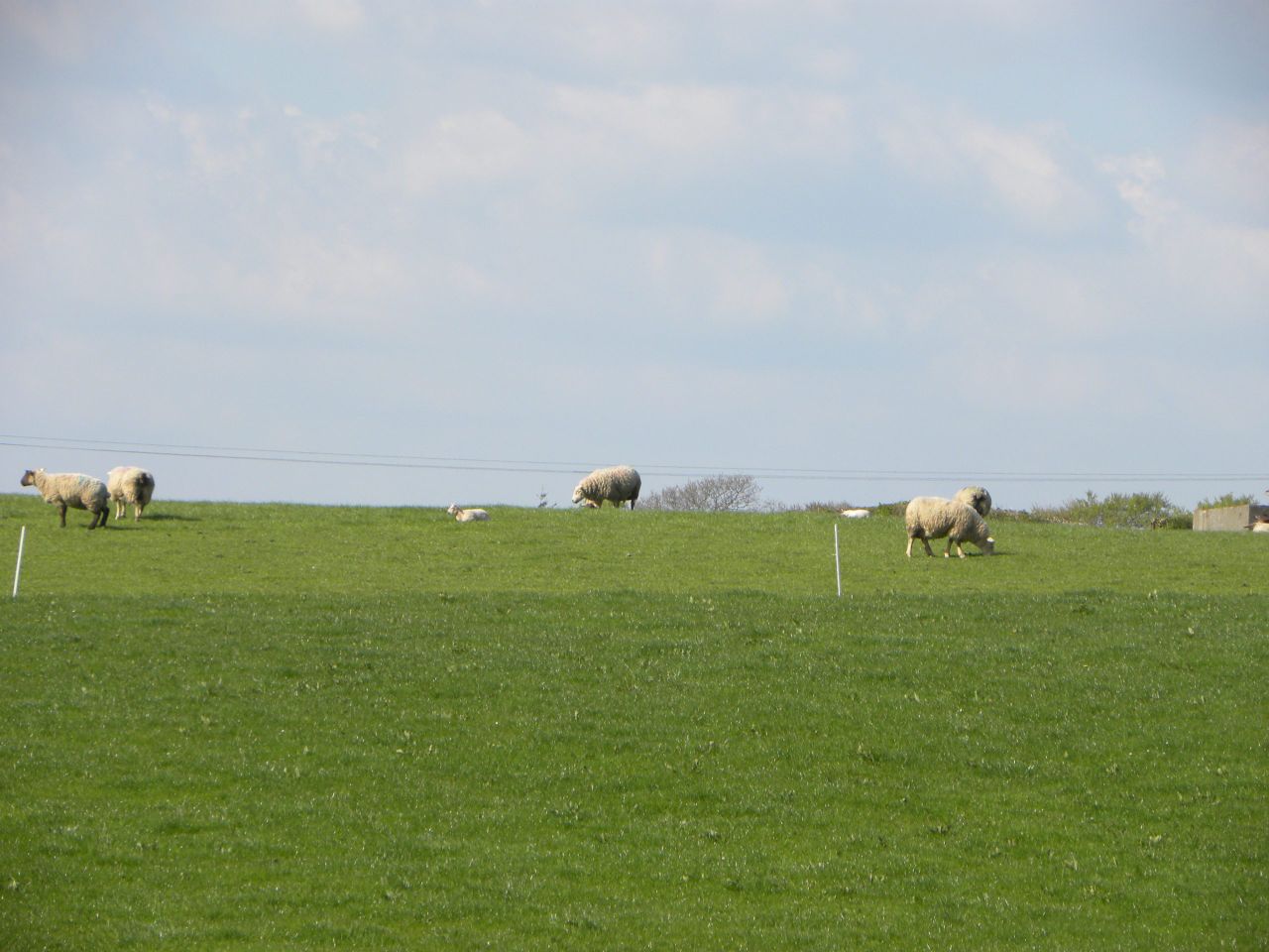 Supplies of land for sale set to rise