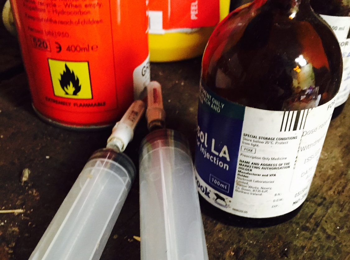 BVA questions RCVS decision to extend measures permitting remote prescribing