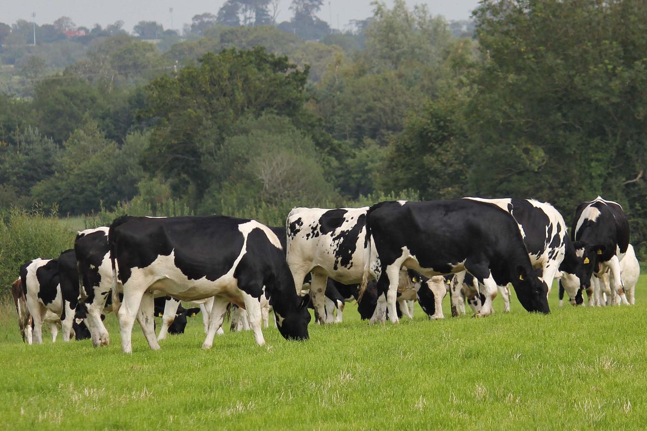 NI farm income crashes more than £100 million in a year