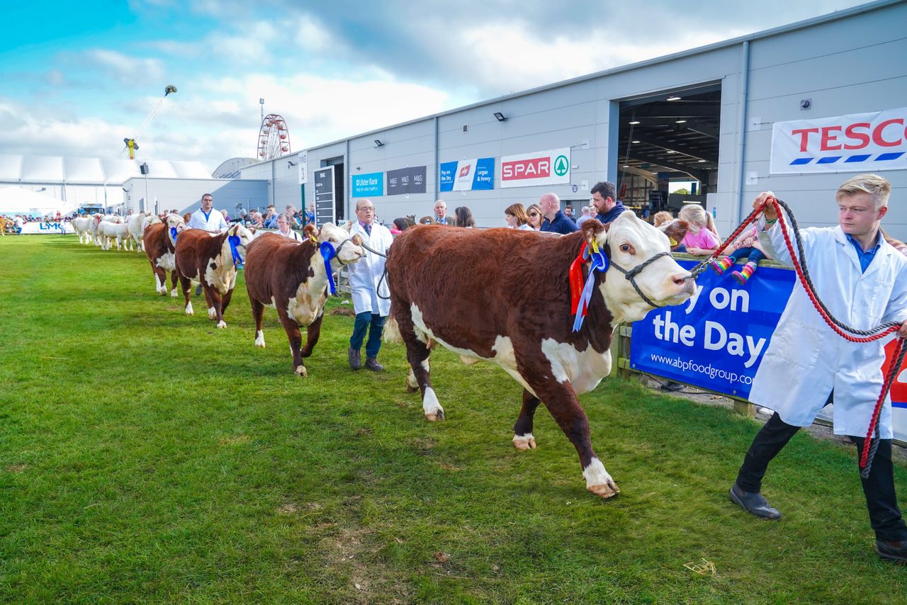 2021 Balmoral Show attendance ‘around two-thirds’ of normal turn-out