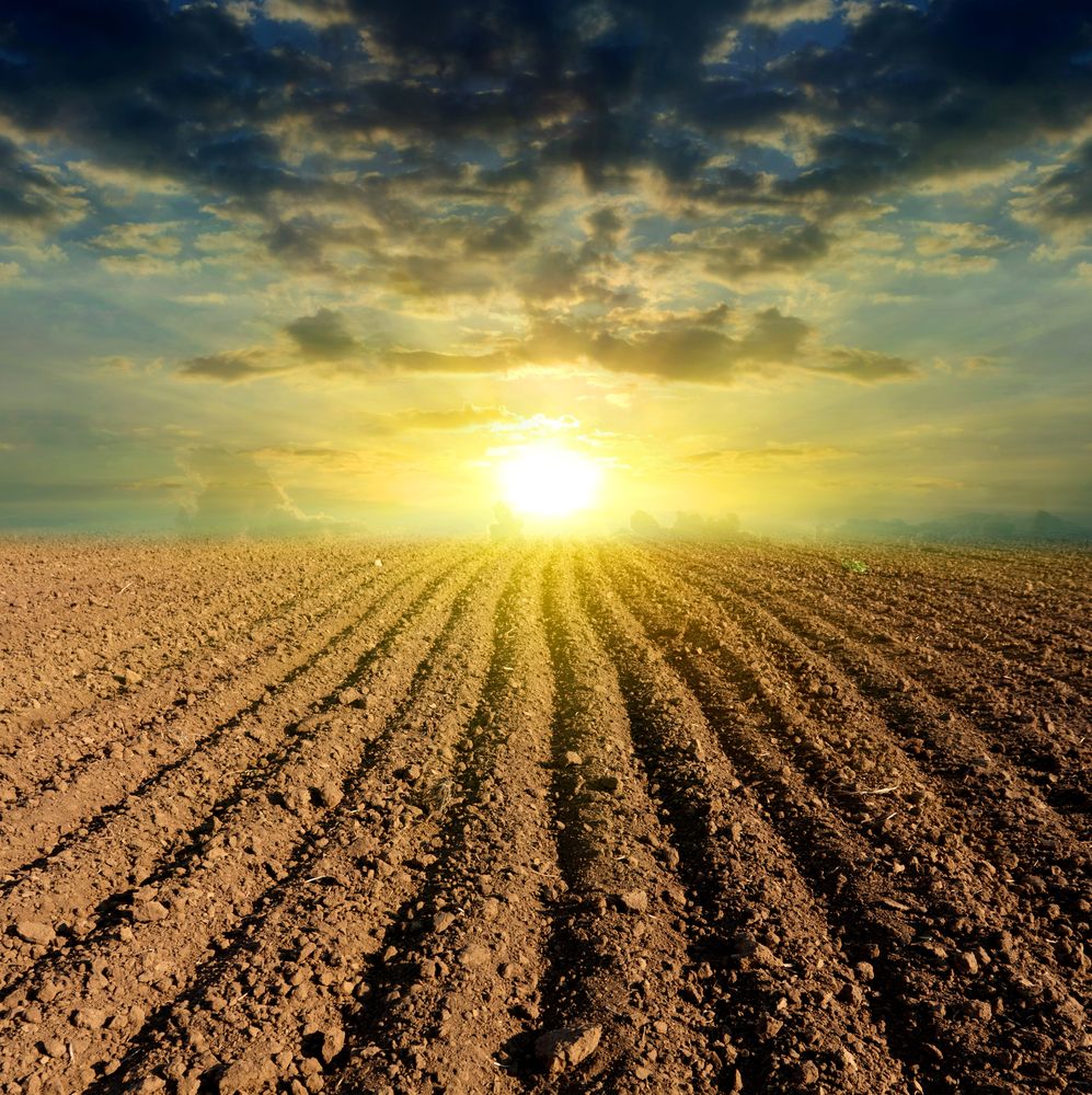 Reflections on a challenging year for farmers