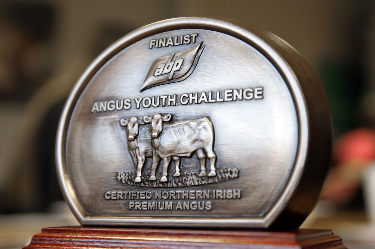 Teens to compete in ABP Angus Young Challenge semi-final