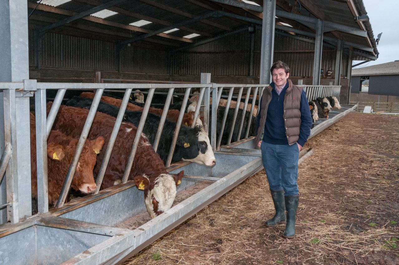 How more than 100 Scottish farmers pooled together for fairer prices