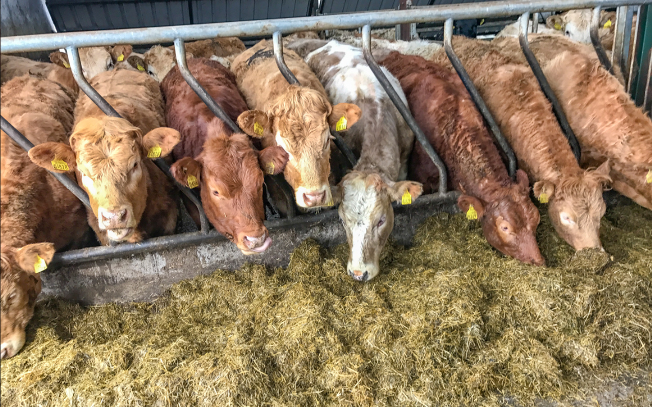 Welsh farmers discuss TB recommendations with minister