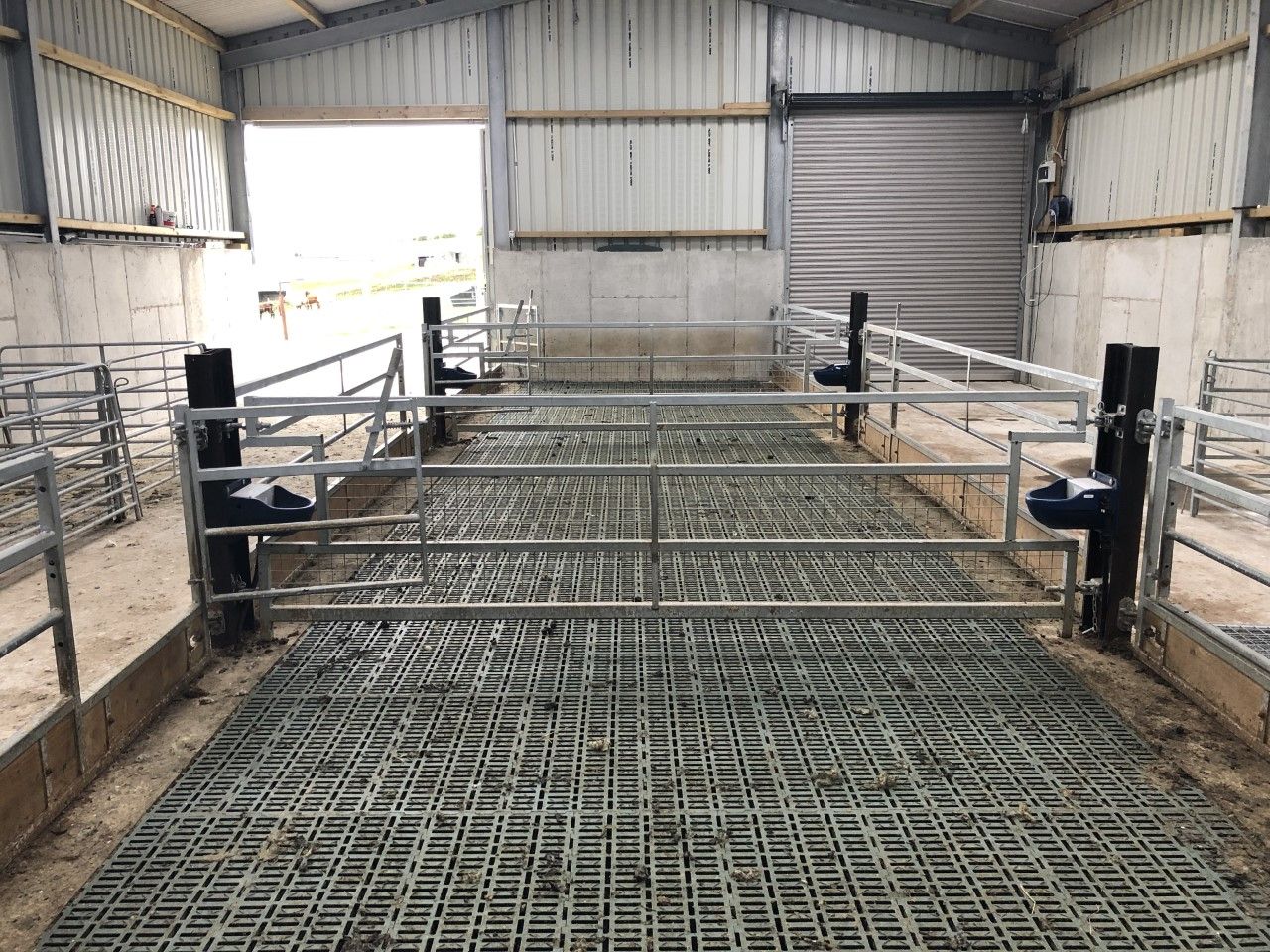 Key considerations to take into account when housing ewes