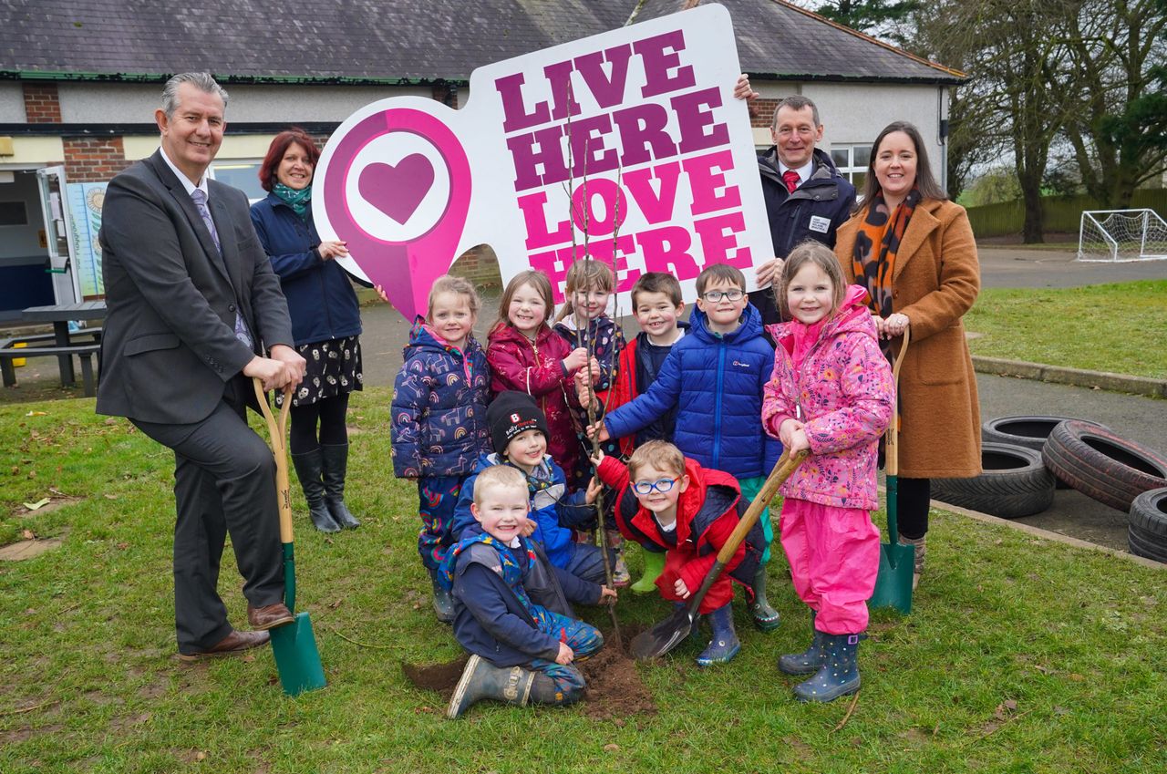 NI: £2m scheme to improve health of bees and pollinators